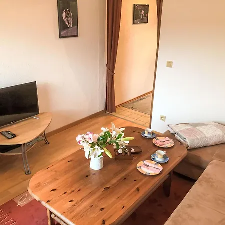 Harzsonne By Interhome Apartmán